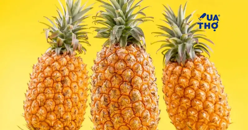 c&aacute;ch khử m&ugrave;i tủ lạnh bằng kh&oacute;m