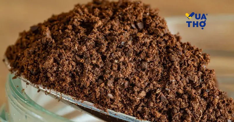 khử m&ugrave;i tủ lạnh bằng bột cf\