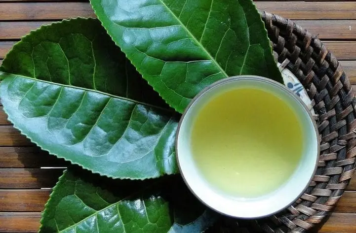 4 loại trà thảo mộc hỗ trợ thanh lọc phổi hiệu quả