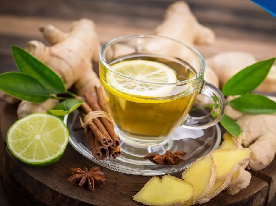 5 loại đồ uống buổi sáng giúp tăng cường hệ miễn dịch - Khởi đầu ngày mới tràn đầy sức khoẻ 5 loại đồ uống buổi sáng giúp tăng cường hệ miễn dịch - Khởi đầu ngày mới tràn đầy sức khoẻ