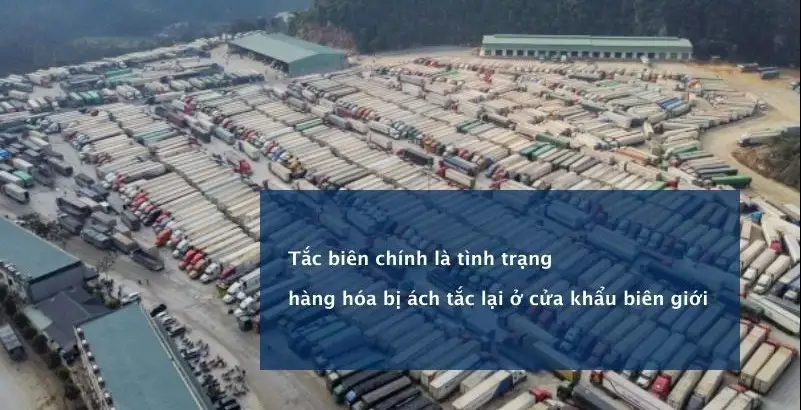 Giải quyết nỗi lo tắc biên 11/11 với đội ngũ chuyên gia vận chuyển của bạn