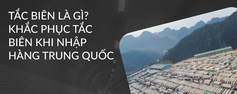 Giải quyết nỗi lo tắc biên 11/11 với đội ngũ chuyên gia vận chuyển của bạn