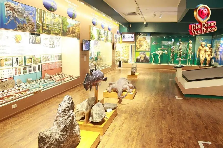 Thông Tin Chung Về Giá Vé Bảo Tàng Thiên Nhiên