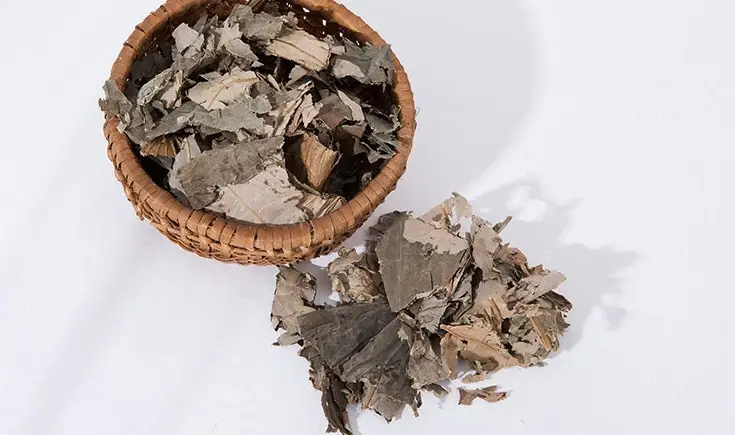 Bệnh gan nhiễm mỡ nên uống lá gì để cải thiện sức khỏe?