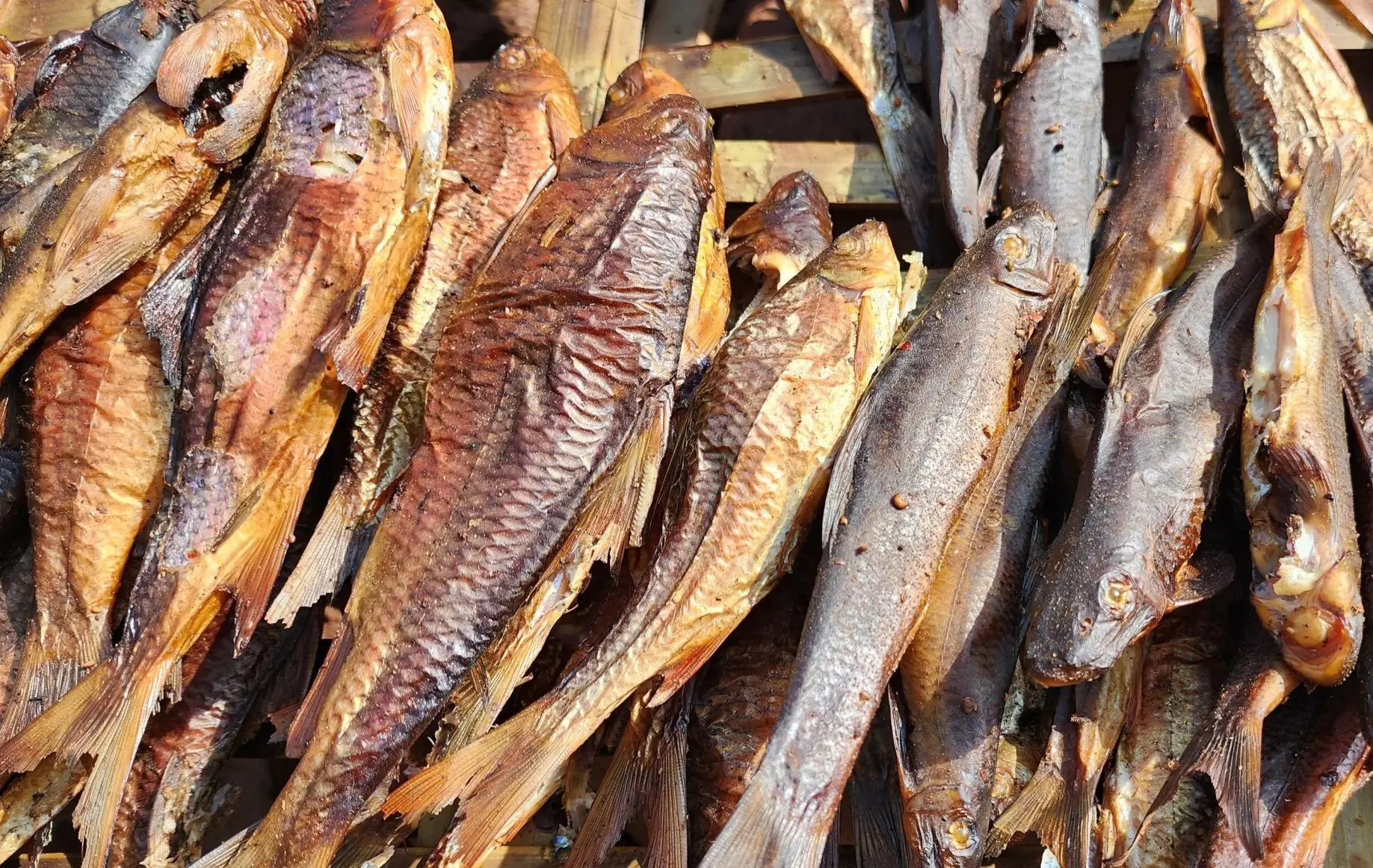 Cá Suối: Đặc Sản Nổi Bật Của Vùng Tây Bắc Cá Suối: Đặc Sản Nổi Bật Của Vùng Tây Bắc