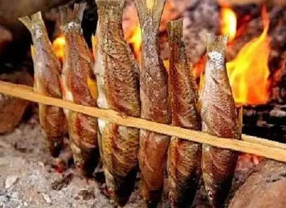 Cá Suối: Đặc Sản Nổi Bật Của Vùng Tây Bắc Cá Suối: Đặc Sản Nổi Bật Của Vùng Tây Bắc