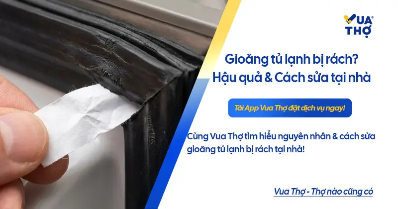 c&aacute;ch kiểm tra gioăng tủ lạnh bị r&aacute;ch trại nh&agrave;