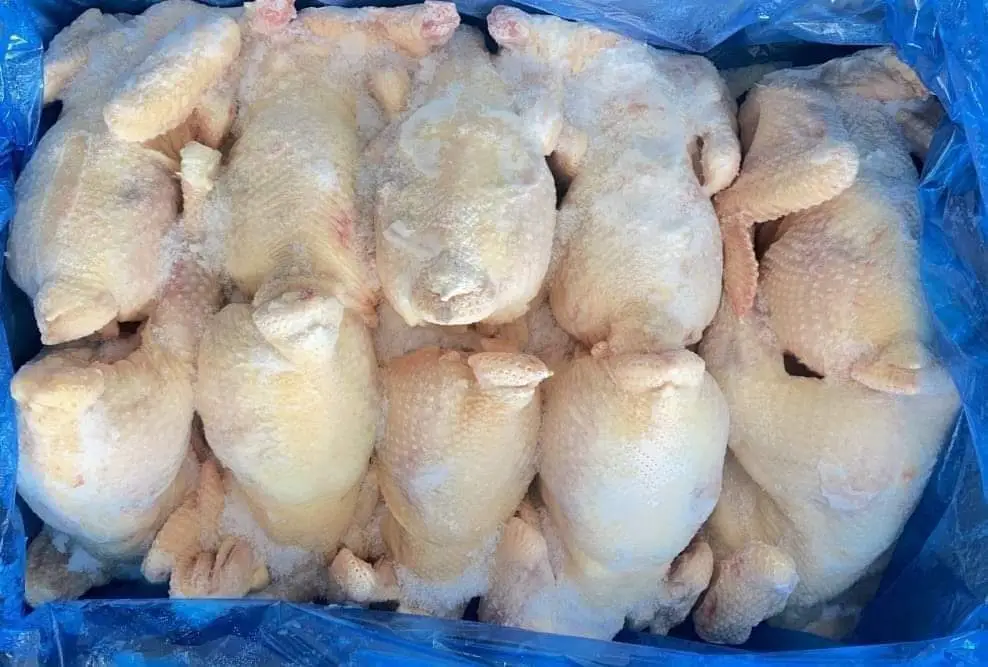 cap nhat bang gia ga dong lanh moi nhat nam 2025
