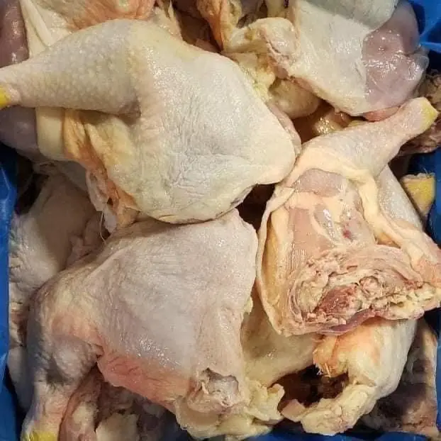 cap nhat bang gia ga dong lanh moi nhat nam 2025