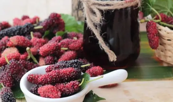 Chế biến rượu dâu tằm cho ngày tết thêm vui Chế biến rượu dâu tằm cho ngày tết thêm vui