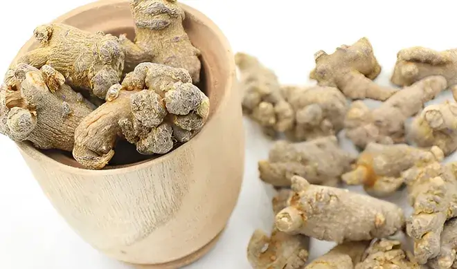 Tam thất Bắc Tam thất Bắc