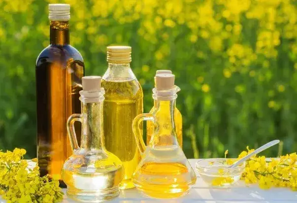 Công dụng của dầu hạt cải trong làm đẹp - Khám phá sức mạnh tự nhiên cho làn da và tóc Công dụng của dầu hạt cải trong làm đẹp - Khám phá sức mạnh tự nhiên cho làn da và tóc