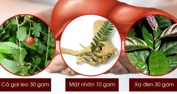 Công dụng của lá xạ đen với người bệnh gan là gì?