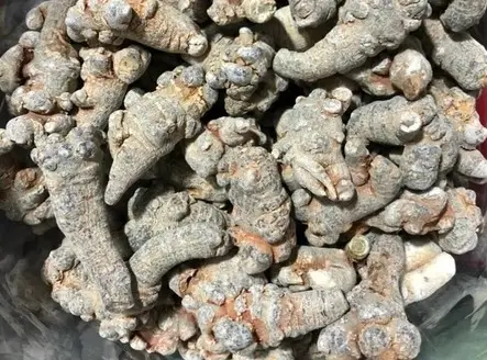 Công dụng đặc biệt của tam thất - Khám phá lợi ích và cách sử dụng hiệu quả Công dụng đặc biệt của tam thất