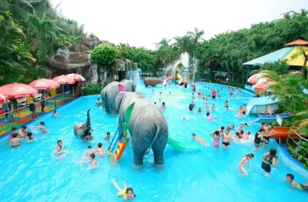 đầm sen nước đầm sen nước