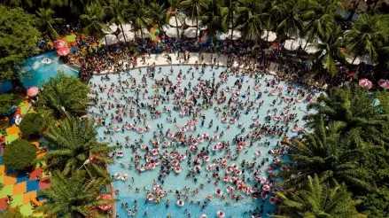 đầm sen nước đầm sen nước