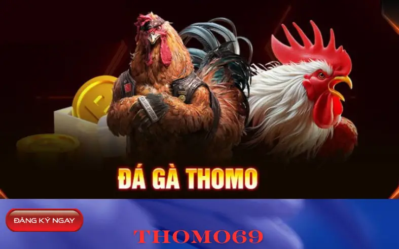 ĐĂNG KÝ tài khoản đá gà thomo 