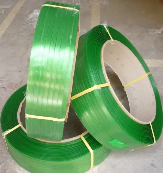 Dây đai Pet - Giải pháp an toàn và tiện dụng cho thú cưng yêu của bạn
