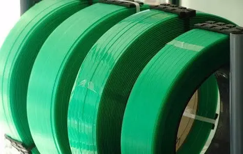 Dây đai Pet - Giải pháp an toàn và tiện dụng cho thú cưng yêu của bạn