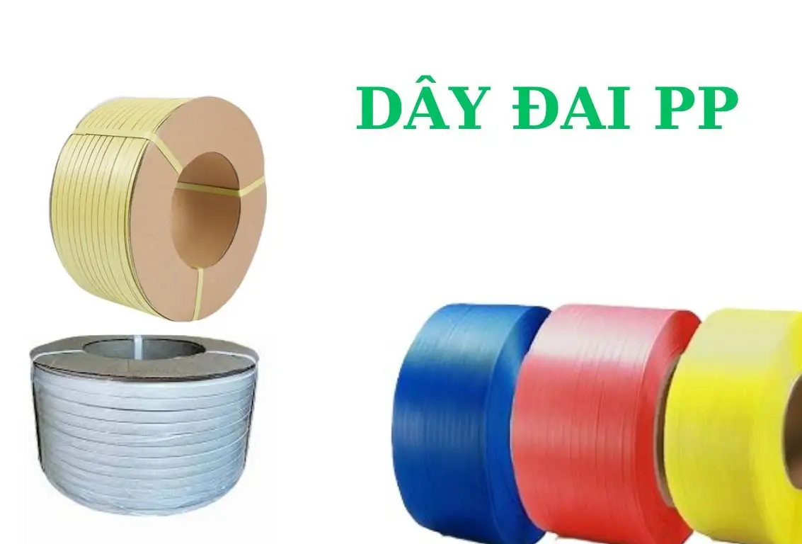 Dây đai PP - Giải pháp đóng gói bền vững và hiệu quả trong ngành vận chuyển hiện đại