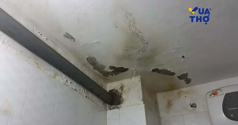 dau-hieu-tuong-can-duoc-chong-tham