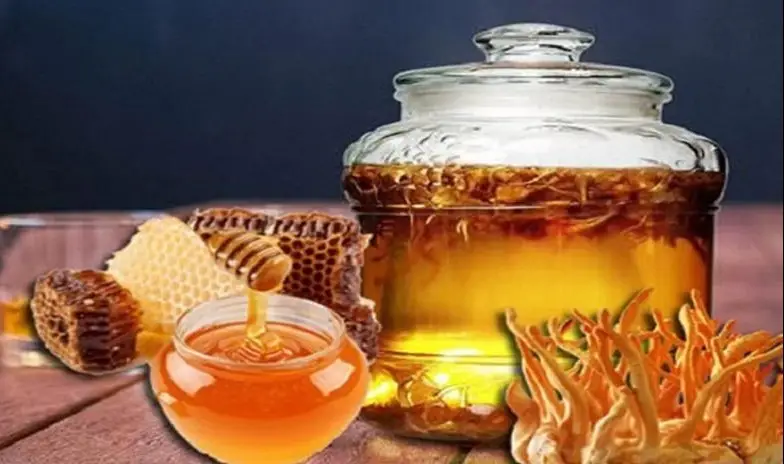 Đông Trùng Hạ Thảo Ngâm Mật Ong – Sự Kết Hợp Vàng Cho Sức Khỏe Toàn Diện