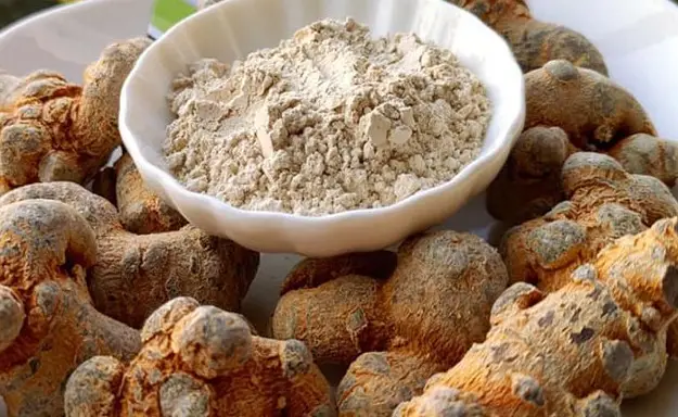 Dùng tam thất chữa ung thư vú - Tác dụng và những điều cần biết Dùng tam thất chữa ung thư vú