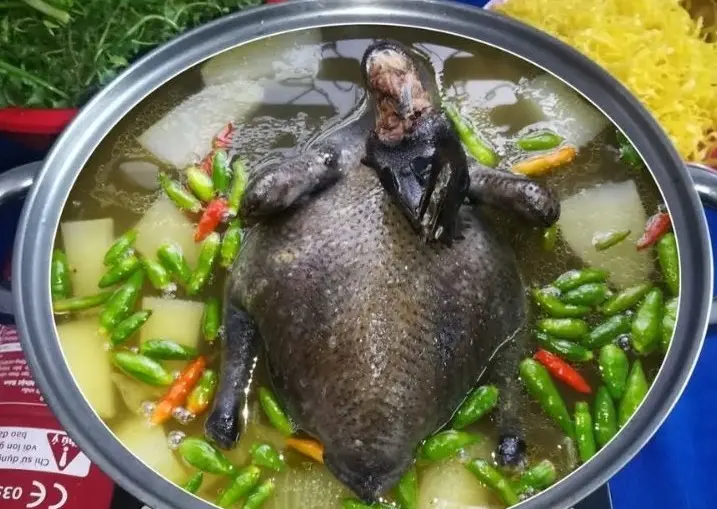 Lẩu gà ác tiềm ớt hiểm