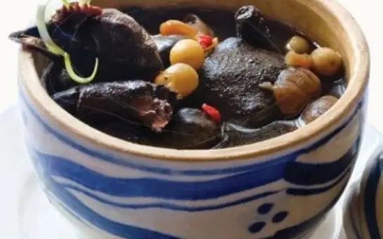 Gà Ác: Vị Thuốc Quý Trong Y Học Dân Gian