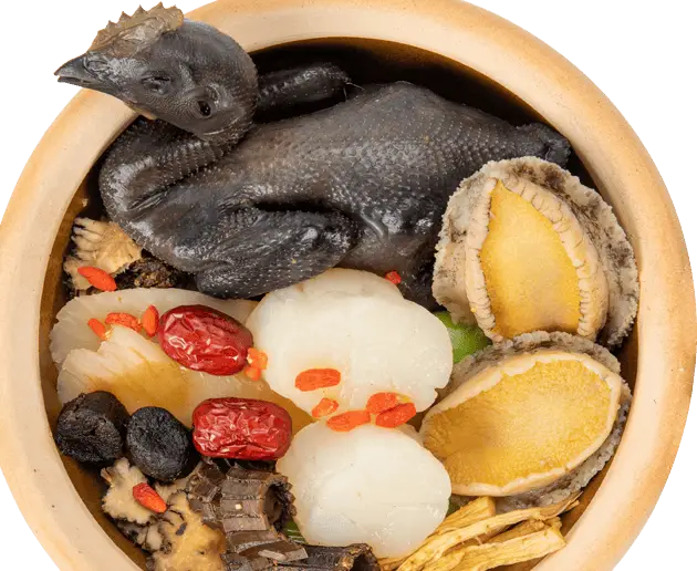Gà Ác: Vị Thuốc Quý Trong Y Học Dân Gian Gà Ác: Vị Thuốc Quý Trong Y Học Dân Gian