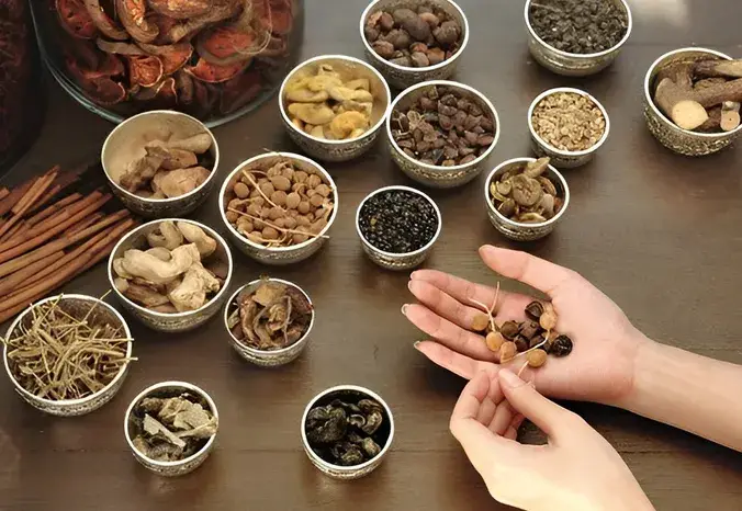 Gà hầm thuốc bắc