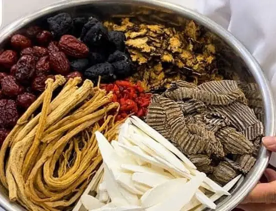 Gà ác tiềm thuốc bắc