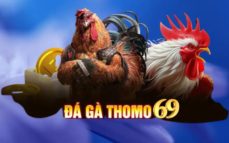Nhà Cái Đá Gà Thomo69