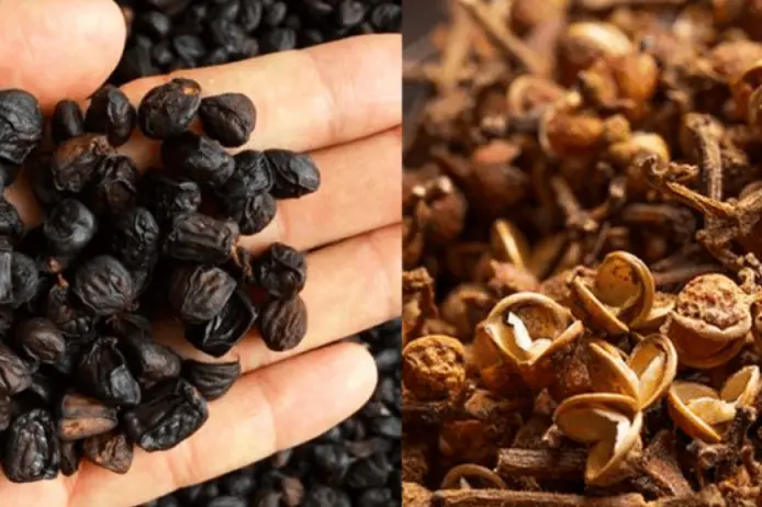 Gợi ý các đặc sản Tây Bắc làm quà tết - Những món ngon độc đáo không thể bỏ lỡ Gợi ý các đặc sản Tây Bắc làm quà tết - Những món ngon độc đáo không thể bỏ lỡ