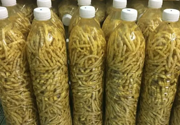 Gợi ý các đặc sản Tây Bắc làm quà tết - Những món ngon độc đáo không thể bỏ lỡ Gợi ý các đặc sản Tây Bắc làm quà tết - Những món ngon độc đáo không thể bỏ lỡ