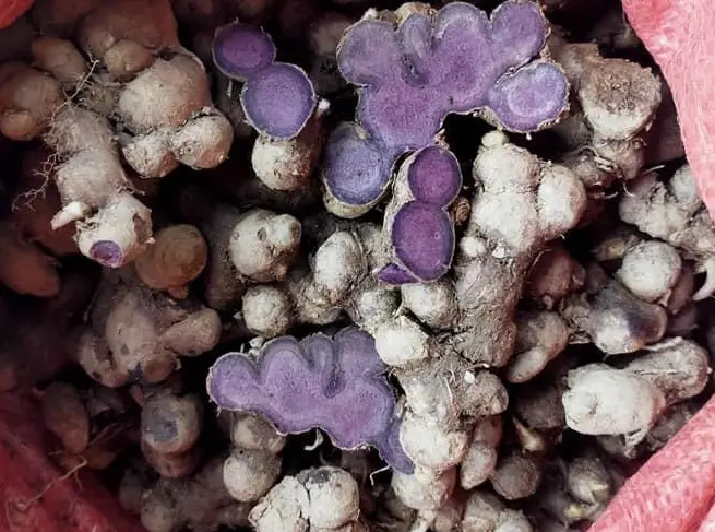 Gừng đen ngâm mật ong