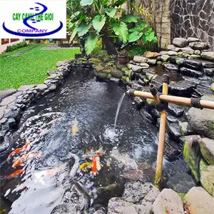  Hồ Cá Koi Sân Thượng: Tuyệt Tác Nghệ Thuật và Kỹ Thuật Cho Không Gian Đỉnh Cao