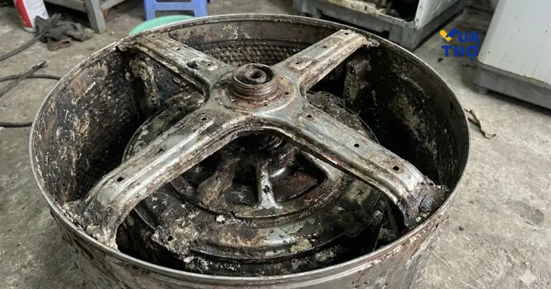 ve-sinh-may-giat-hoc-mon-vua-tho