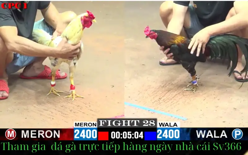 Cách đăng ký tài khoản trên Sv366