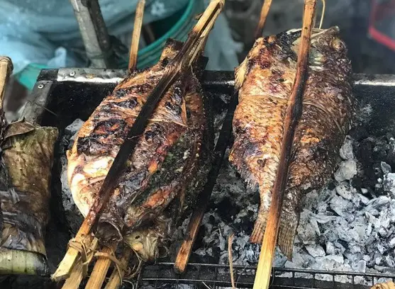 Các loại cá sông, cá suối ở Tây Bắc Các loại cá sông, cá suối ở Tây Bắc
