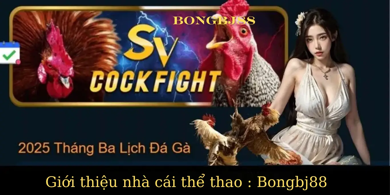 Cá Cược Thể Thao trang website Bongbj88
