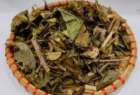 Lá xạ đen có tác dụng gì?