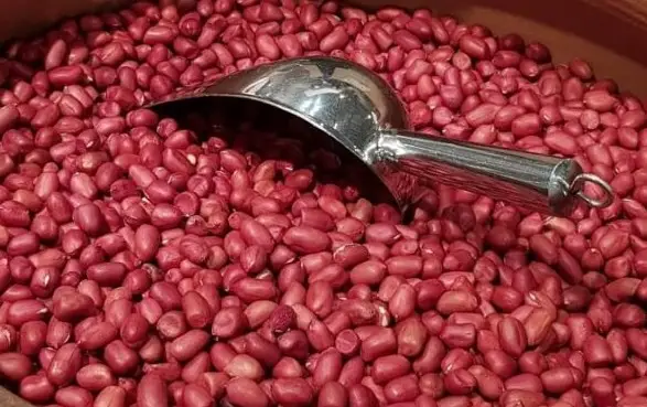 Lạc đỏ Tây Bắc Lạc đỏ Tây Bắc