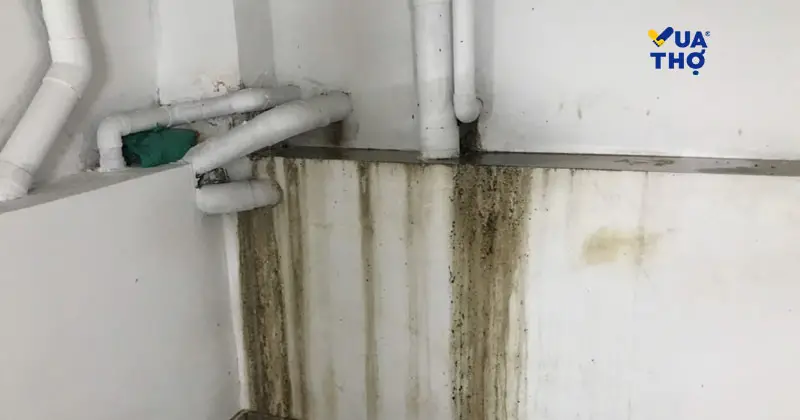 máy nước nóng trực tiếp bị rò rỉ nước