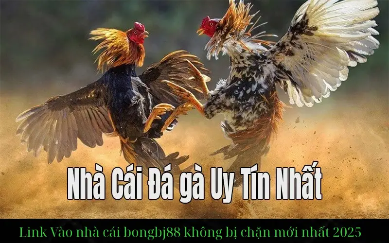 Link Vào Bongbj88 Mới Nhất Không Bị Chặn 2025 Link Vào Bongbj88 Mới Nhất Không Bị Chặn 2025