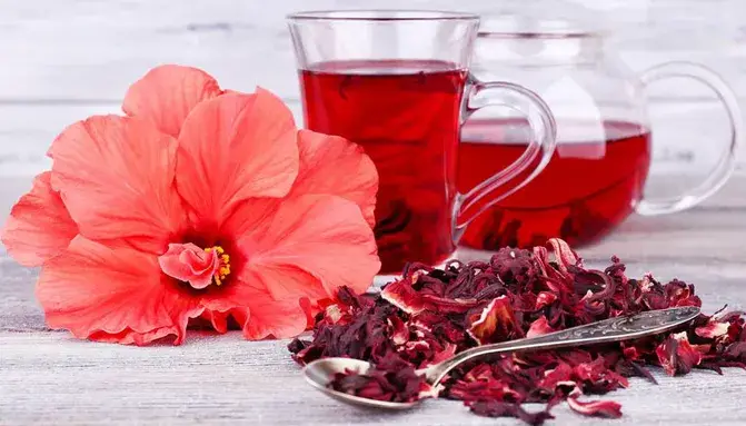 Lợi ích bất ngờ của trà hoa dâm bụt đối với sức khỏe Lợi ích bất ngờ của trà hoa dâm bụt đối với sức khỏe