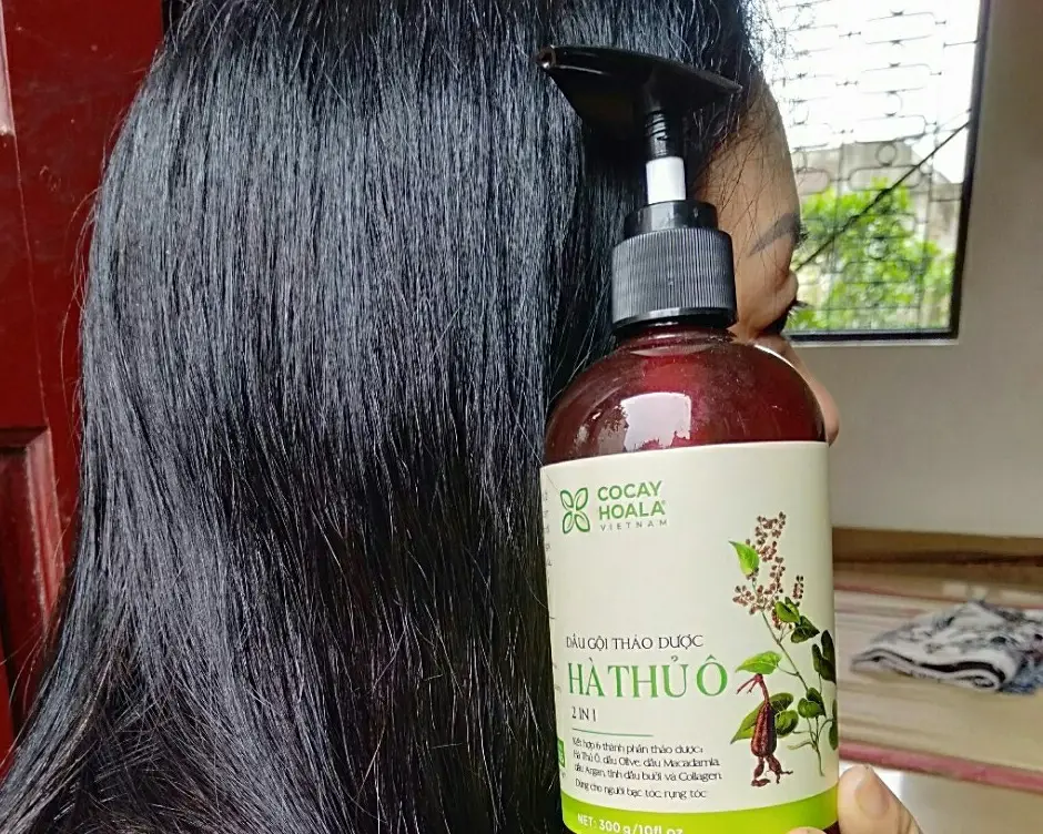Lợi ích của dầu gội đầu hà thủ ô Lợi ích của dầu gội đầu hà thủ ô