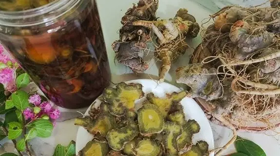 Lợi ích của tam thất tươi ngâm mật ong