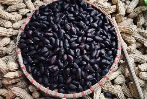 Lưu ý khi ăn lạc đen Lưu ý khi ăn lạc đen