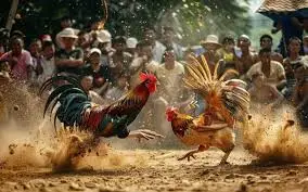 Đ&aacute; G&agrave; Trực Tiếp K&egrave;o Nh&agrave; C&aacute;i 789bet ...